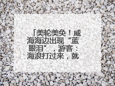 美轮美奂！威海海边出现“蓝眼泪”，游客：海浪打过来，就像星河一样