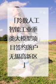 羚数人工智能工业垂类大模型项目签约落户无锡高新区