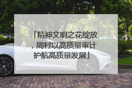 精神文明之花绽放，周村以高质量审计护航高质量发展