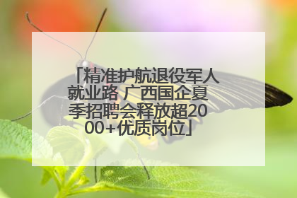 精准护航退役军人就业路 广西国企夏季招聘会释放超2000+优质岗位