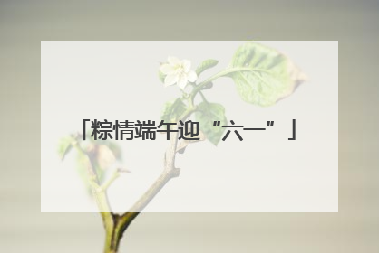 粽情端午迎“六一”