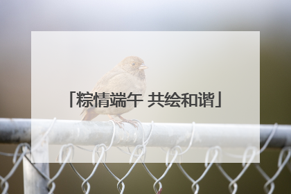 粽情端午 共绘和谐