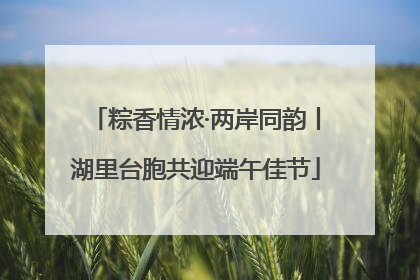 粽香情浓·两岸同韵丨湖里台胞共迎端午佳节