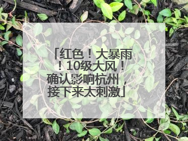 红色！大暴雨！10级大风！确认影响杭州，接下来太刺激