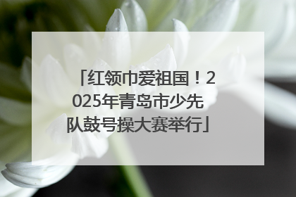 红领巾爱祖国！2025年青岛市少先队鼓号操大赛举行