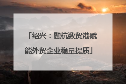 绍兴：融杭数贸港赋能外贸企业稳量提质
