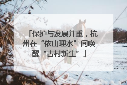 保护与发展并重，杭州在“依山理水”间唤醒“古村新生”