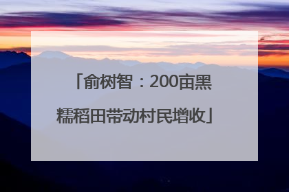 俞树智：200亩黑糯稻田带动村民增收