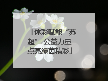 体彩赋能“苏超” 公益力量点亮绿茵精彩