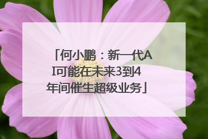 何小鹏：新一代AI可能在未来3到4年间催生超级业务