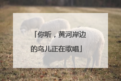 你听，黄河岸边的鸟儿正在歌唱