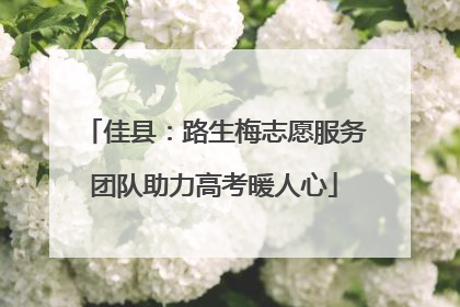 佳县：路生梅志愿服务团队助力高考暖人心