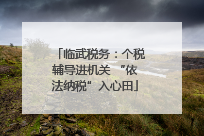 临武税务：个税辅导进机关 “依法纳税”入心田