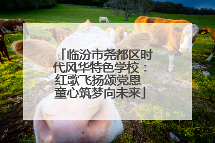 临汾市尧都区时代风华特色学校：红歌飞扬颂党恩 童心筑梦向未来