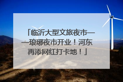 临沂大型文旅夜市——琅琊夜市开业！河东再添网红打卡地！