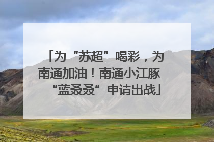 为“苏超”喝彩，为南通加油！南通小江豚“蓝叒叒”申请出战