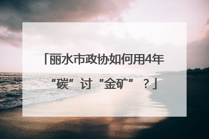 丽水市政协如何用4年“碳”讨“金矿”？