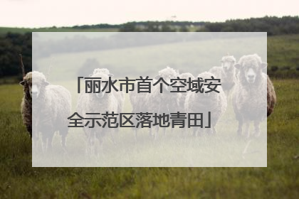 丽水市首个空域安全示范区落地青田