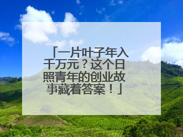 一片叶子年入千万元？这个日照青年的创业故事藏着答案！