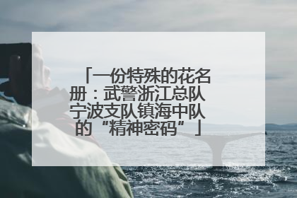 一份特殊的花名册：武警浙江总队宁波支队镇海中队的“精神密码”