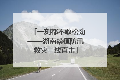 一刻都不敢松劲——湖南桑植防汛救灾一线直击