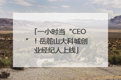 一小时当“CEO”！岳麓山大科城创业经纪人上线