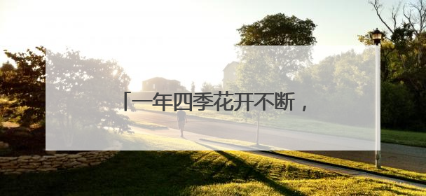一年四季花开不断，三阳路“垂江绿廊”升级为“垂江花廊”