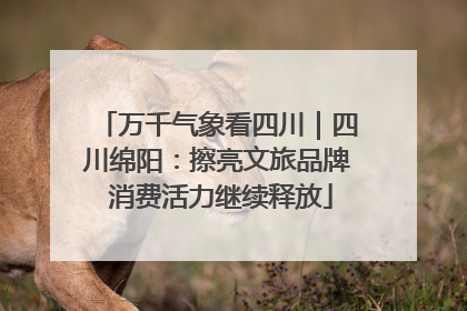万千气象看四川｜四川绵阳：擦亮文旅品牌 消费活力继续释放