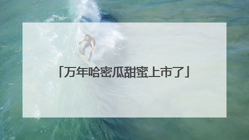 万年哈密瓜甜蜜上市了