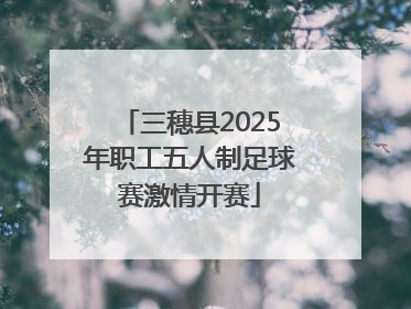 三穗县2025年职工五人制足球赛激情开赛