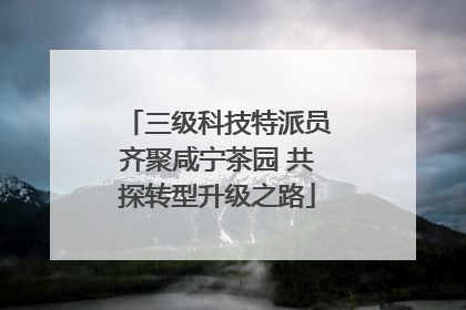 三级科技特派员齐聚咸宁茶园 共探转型升级之路