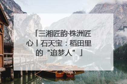 三湘匠韵·株洲匠心丨石天宝：稻田里的“追梦人”