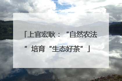 上官宏耿：“自然农法”培育“生态好茶”