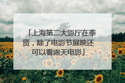 上海第二大影厅在奉贤，除了电影节展映还可以看露天电影