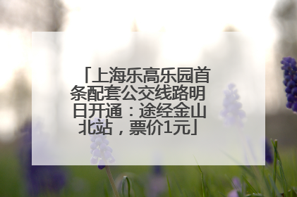 上海乐高乐园首条配套公交线路明日开通：途经金山北站，票价1元