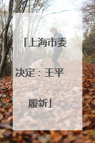 上海市委决定：王平履新