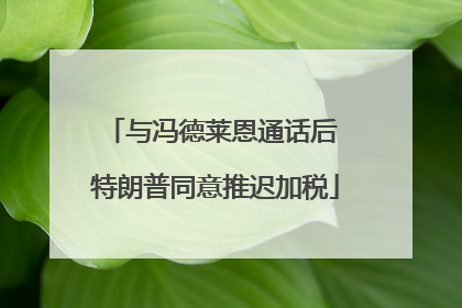 与冯德莱恩通话后 特朗普同意推迟加税