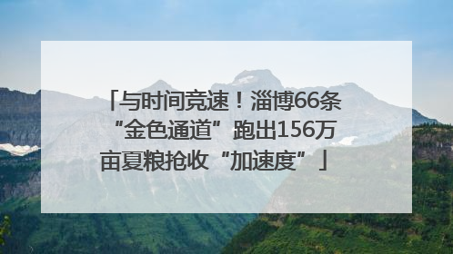 与时间竞速！淄博66条“金色通道”跑出156万亩夏粮抢收“加速度”