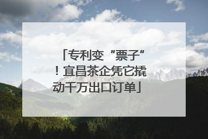专利变“票子”！宜昌茶企凭它撬动千万出口订单