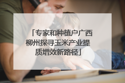 专家和种植户广西柳州探寻玉米产业提质增效新路径