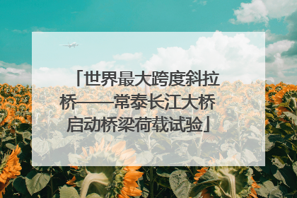 世界最大跨度斜拉桥——常泰长江大桥启动桥梁荷载试验