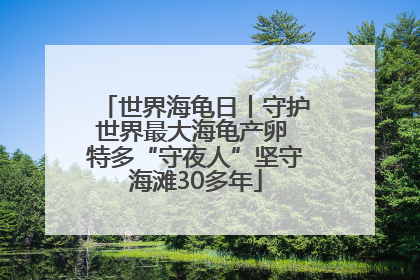 世界海龟日丨守护世界最大海龟产卵 特多“守夜人”坚守海滩30多年