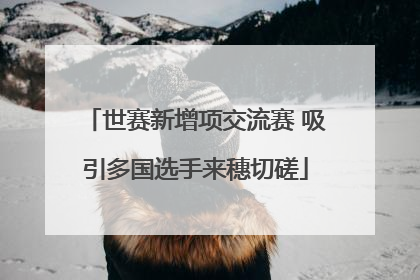 世赛新增项交流赛 吸引多国选手来穗切磋
