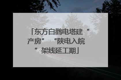 东方白鹳电塔建“产房” “陕电入皖”架线延工期
