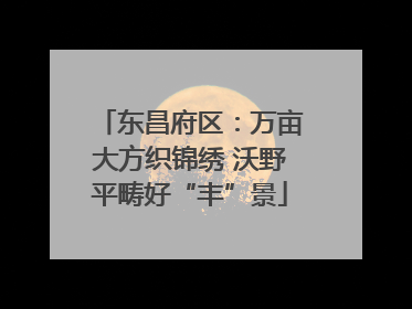 东昌府区：万亩大方织锦绣 沃野平畴好“丰”景
