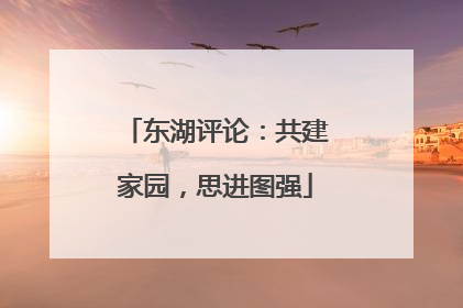 东湖评论：共建家园，思进图强