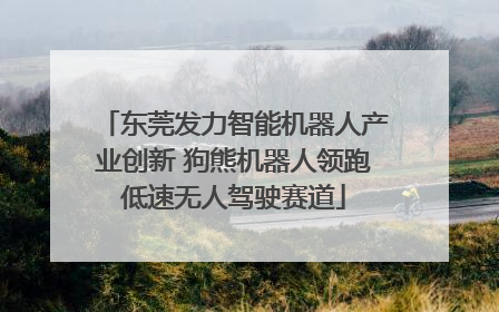 东莞发力智能机器人产业创新 狗熊机器人领跑低速无人驾驶赛道