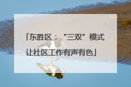 东胜区：“三双”模式让社区工作有声有色