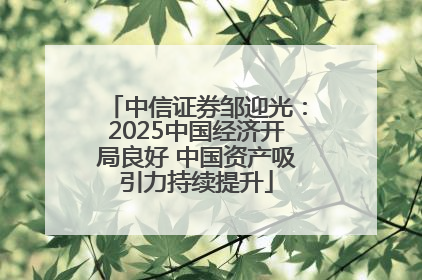 中信证券邹迎光：2025中国经济开局良好 中国资产吸引力持续提升