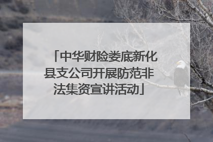 中华财险娄底新化县支公司开展防范非法集资宣讲活动